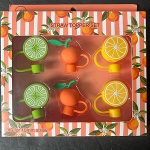 NIB Fruit Straw Toppers, set of 6
